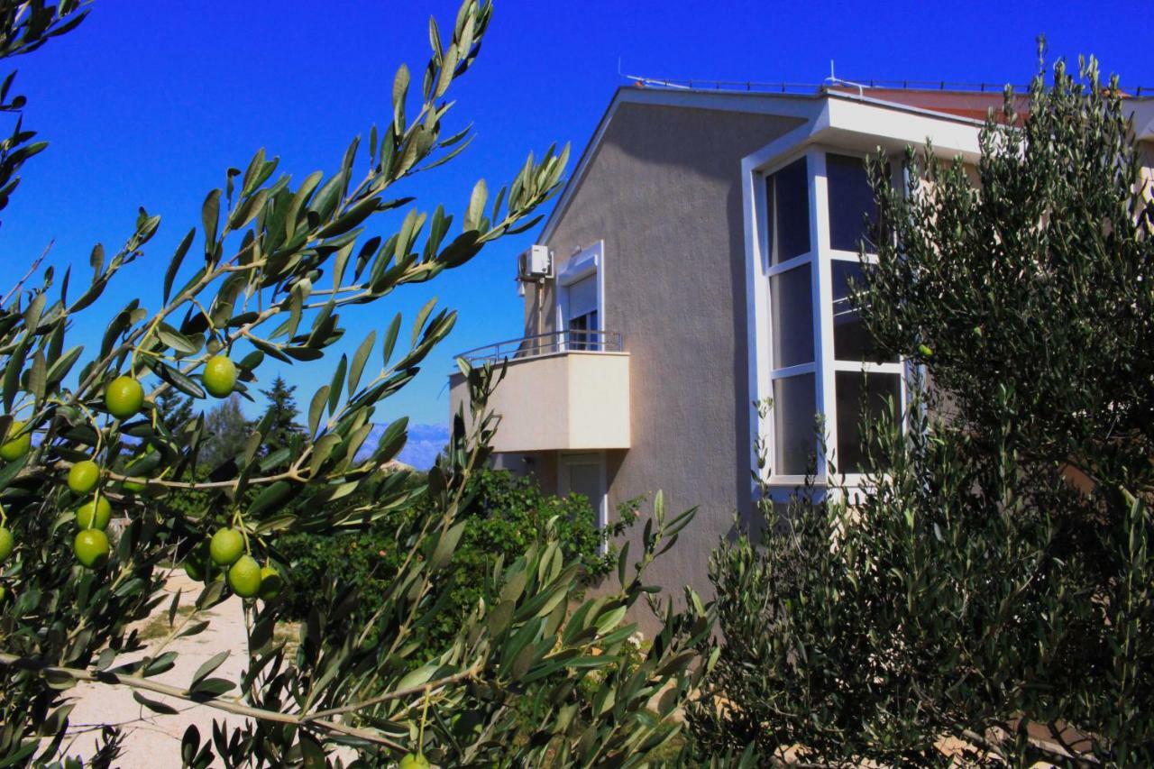 Apartmani Olives Nin Εξωτερικό φωτογραφία